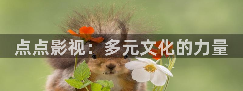 飘花影院免费视频观看