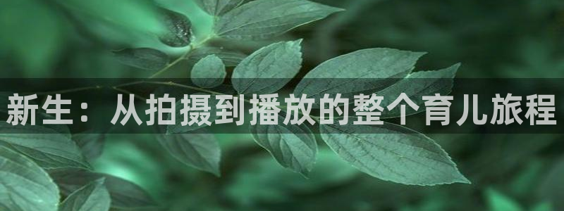 飘花影院午夜剧场：新生：从拍摄到播放的整个育儿旅程