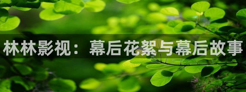 飘花电影在线看2022：林林影视：幕后花絮与幕后故事